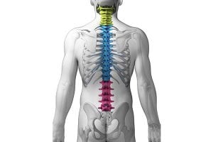 Spinal Problems by OC Neurological Institute 2 300x200 - Spinal Problems