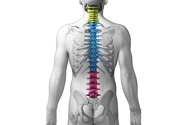 Spinal Problems by OC Neurological Institute 2 - Conditions