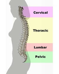 what is back pain - Spinal Decompression